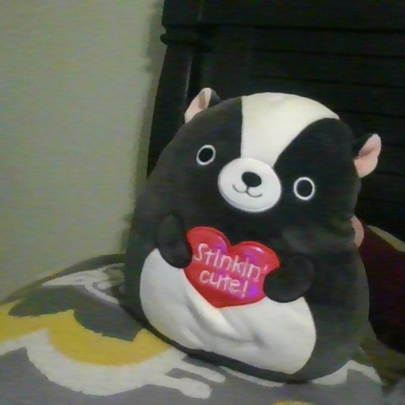 Other - Skyler Valentines Squish 2022 NWT